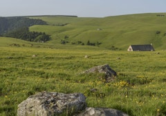 Roche Grande