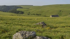 Roche Grande
