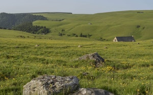 Roche Grande