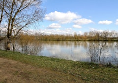 Saint-Laurent-sur-Saône in a Loop