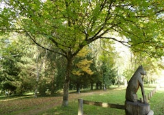 Sentier du Chevreuil