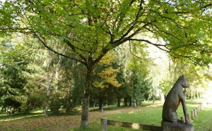 Sentier du Chevreuil