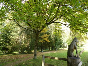 Sentier du Chevreuil