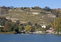 Sentier du Rhône from Condrieu