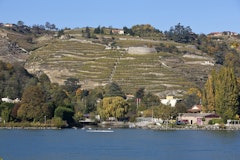 Sentier du Rhône from Condrieu