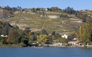 Sentier du Rhône from Condrieu