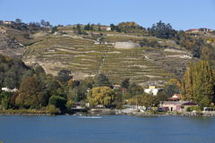Sentier du Rhône from Condrieu