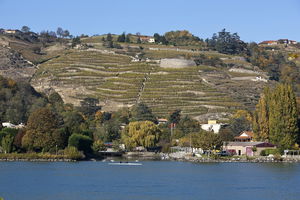 Sentier du Rhône depuis Condrieu