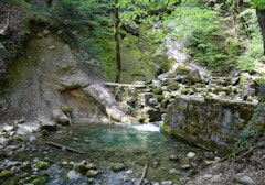Sources de l'Allondon