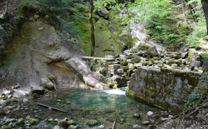 Sources de l'Allondon