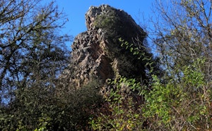 Suc de Courniol
