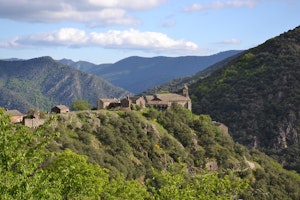 Thines from Peyre