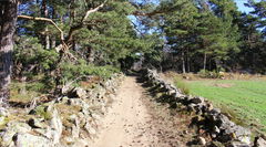 Tour des Montauds and Pic de Montfroment