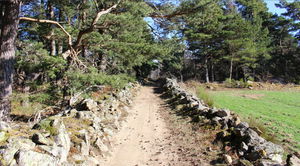 Tour des Montauds et du pic de Montfroment