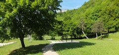 Bois des Vouillants