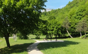 Bois des Vouillants