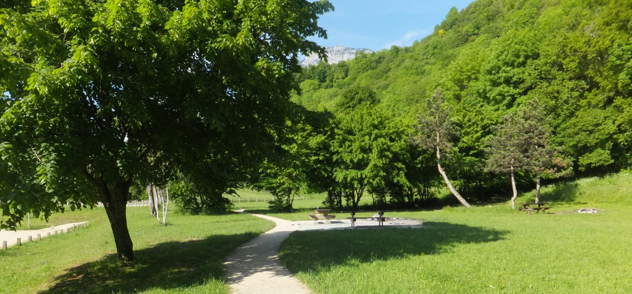 Bois des Vouillants