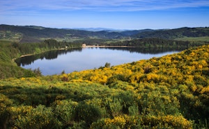 Lac d'Issarlès