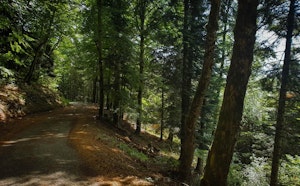 Vallon de l''Oudar