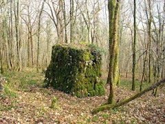 Argillières Forest
