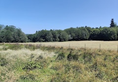 Source de l'Yonne