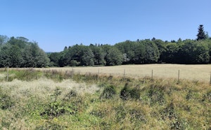Source de l'Yonne