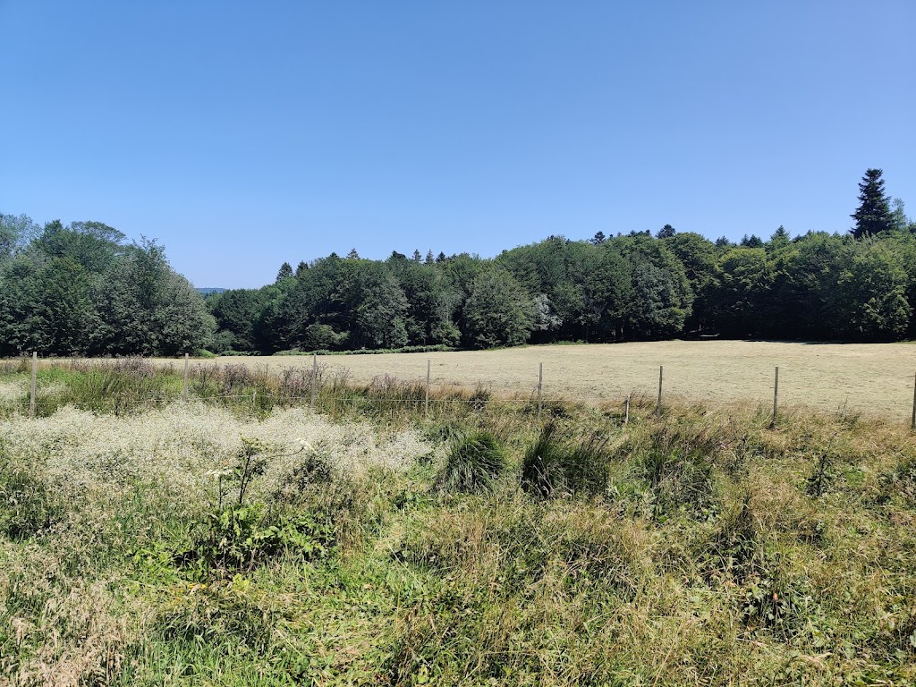 Source de l'Yonne
