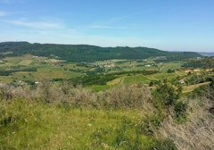 Around Berzé-la-Ville