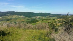 Around Berzé-la-Ville