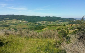 Around Berzé-la-Ville