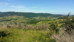 Around Berzé-la-Ville