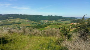 Autour de Berzé-la-Ville