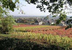 Heights of Chassagne-Montrachet