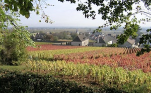 Heights of Chassagne-Montrachet