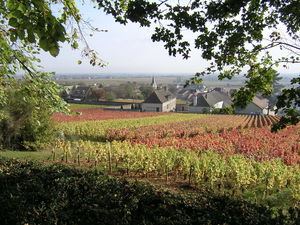 Hauteurs de Chassagne-Montrachet