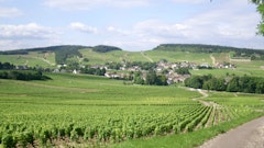 Around Mercurey