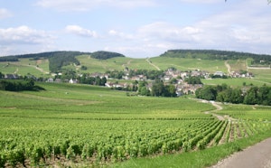 Around Mercurey