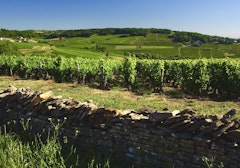 Around Mont Bouzu