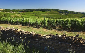 Around Mont Bouzu