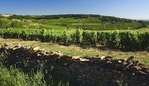Around Mont Bouzu