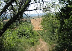 Around Saint-Père