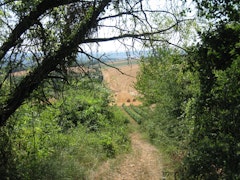 Around Saint-Père
