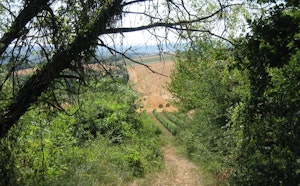 Around Saint-Père