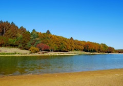 Around Plan d'Eau de Niffond