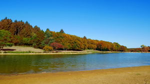 Alentours du plan d'eau de Niffond