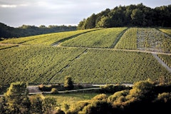 Between Chichée and Chemilly-sur-Serein