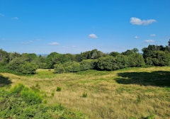 Between La Place and Fétigny