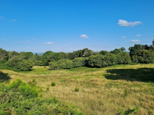 Between La Place and Fétigny