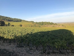 Between Puligny-Montrachet and Blagny