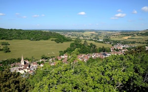 Bois de Bligny-sur-Ouche